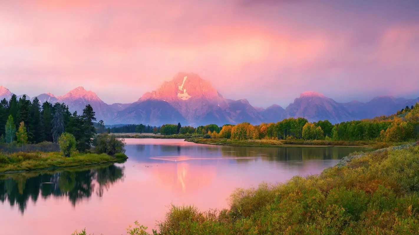 独特绿色无人化
